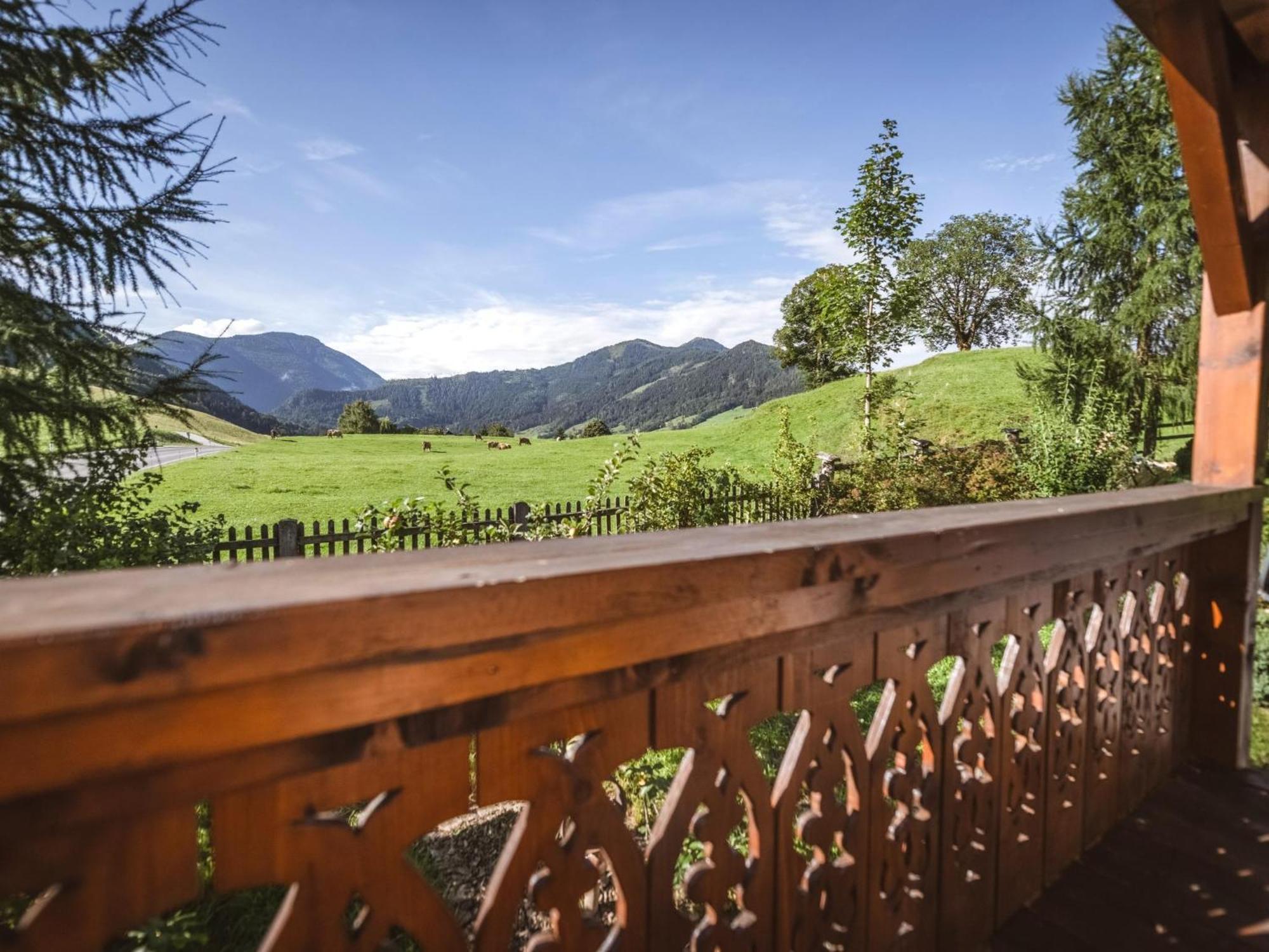 Naturpark Chalet Schladming-Dachstein Grosssolk Εξωτερικό φωτογραφία